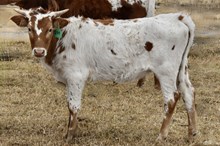 GLR 20 SMOKIN' MERMAIDS